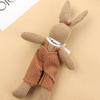 Muñeca Ins Muñeca de Dibujos Animados Linda Conejo Café Oso Accesorios Colgante de Bolsa Calcetines Broche Decoración Accesorios Ropa