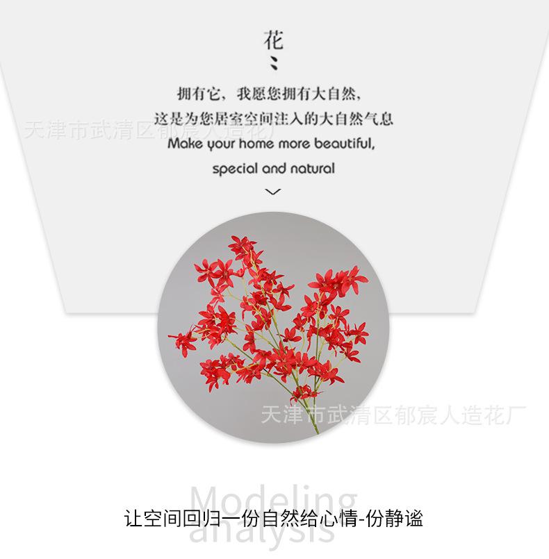 详情_05.png