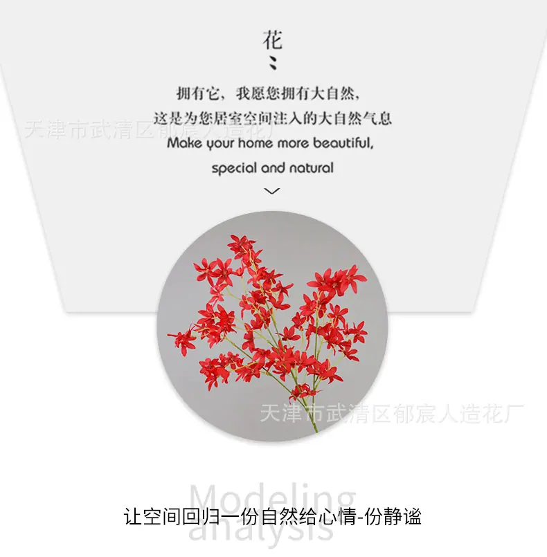 详情_05.png