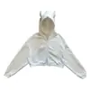 Sudadera con capucha estilo oscuro, suelta y divertida, con cuernos de diablo, estilo Ins, para otoño e invierno, transfronteriza europea y americana, para hombres y mujeres, de Aliexpress