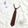 Jk Tie Female Lazy Nude-Free Brown Stripe Japanese Style College Style Decorative Wine Red Dk Shirt Boys Casual