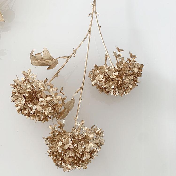 QQ图片20220505100626