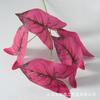 Simulación de 5 hojas de taro de color para decoración de jardín, planta verde nórdica, para bodas, paisajismo interior, diseño de pared, venta al por mayor