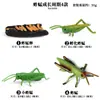 Modelo de animal salvaje de simulación Araña mosquito Polilla de la Luna Gallo Ciclo de crecimiento del gallo Juguete adornos para cuenca sensorial infantil