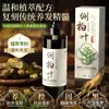 Transmisión en Vivo Popular Platycladus Leaf Ginseng Champú Control de Grasa Anticaspa Champú Herbal Nutritivo para el Cabello Fábrica de Puré Venta al Por Mayor
