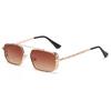 Gafas de Sol Estilo Punk Metálico Jamie con Montura Cuadrada Hueca para Mujer, Gafas de Sol Punk con Doble Puente y Lente Oceánica para Hombre 3550