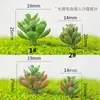 Enfeites de Mini Cenário de Paisagem, Grama Borboleta de Mini Jade, Estrela do Mar, Acessórios de Suculentas, Modelo de Mesa de Areia de Plantas, Pequenos Artesanatos