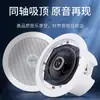Loja de kit de áudio coaxial para teto SAST Amplificador Bluetooth sem fio embutido em guindaste de teto