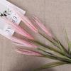 Nova Planta Simulada Junco Capim Cebola Capim das Pampas Grama Rabo de Cão Falso Junco Decorativo Simulado para Entrada