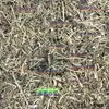 Medicina Herbal China Alta Calidad Bolsa de Pastor Silvestre Flor de Bolsa de Pastor Flor Daimi Flor de Bolsa de Pastor Nuevo Producto Seco 500g Medicina Herbal China