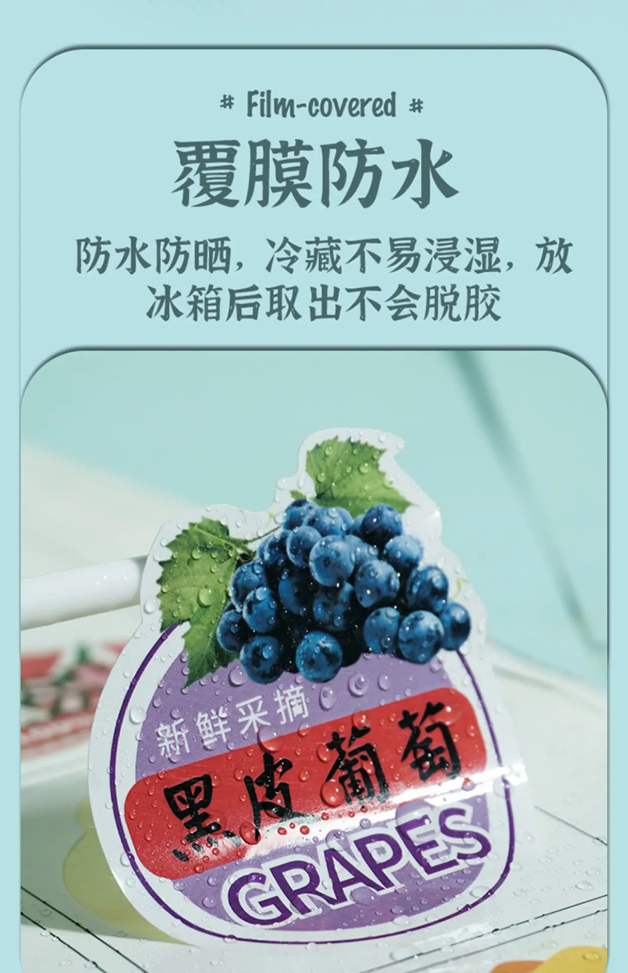 详情图片9.jpg