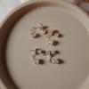 Estilo Idêntico ao Site Oficial Coreano Argola Pequena em Prata S925 Versátil Ins com Zircônia Strass Brilhante Brincos Frontais e Traseiros Exquisitos