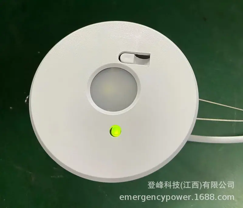 LED应急筒灯