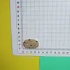 Parche Ovalado de Resina Otoño e Invierno Gato a Cuadros Gato Gatito DIY Accesorios Lindos y Dulces Flor para Zapatos Funda para Teléfono Móvil Pasador