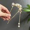 Grampo de Cabelo Estilo Antigo com Franjas, Grampo de Cabelo de Alta Qualidade Estilo Chinês Novo para Penteados Presos, Acessórios de Cabelo para Noivas e Barracas em Áreas Turísticas