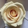 Clássico ameixa velha manhã flanela cabeça de flor de rosa cenário de casamento decoração de parede de flores flor artificial flor de simulação atacado