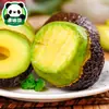 Aguacates grandes y frescos, 15 piezas, listos para comer, de temporada, caja completa con envío gratis, aptos para mujeres embarazadas, aguacates completamente maduros