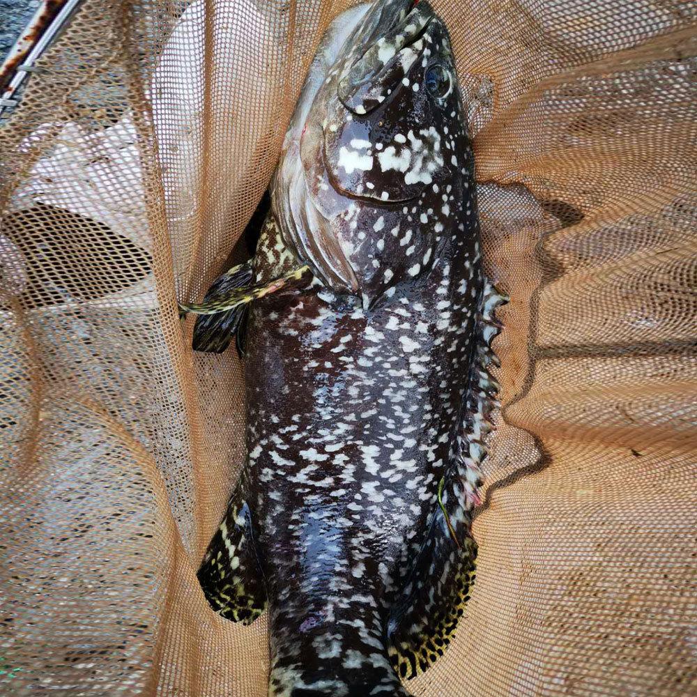 slow jig fishing (4).jpg