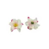 Cabezas de Flores de Magnolia Simuladas Venta al por Mayor de Fábrica Materiales para Guirnaldas DIY Pared de Flores Fondo de Boda Flores Artificiales en Stock
