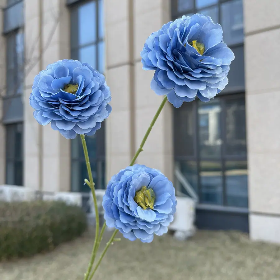 3头特慧丁香花-雾蓝.JPG