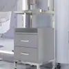 Carrito de Herramientas Especiales para Salón de Peluquería, Carrito para Tienda de Peluquería, Estante de Almacenamiento, Carrito de Almacenamiento de Metal para Barbería Sin Instalación