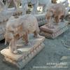 Escultura de Piedra Elefante Mármol Blanco Mármol Blanco Mármol Blanco Pie Agua Flor Escultura de Piedra Par de Elefantes Fabricante Venta al por Mayor