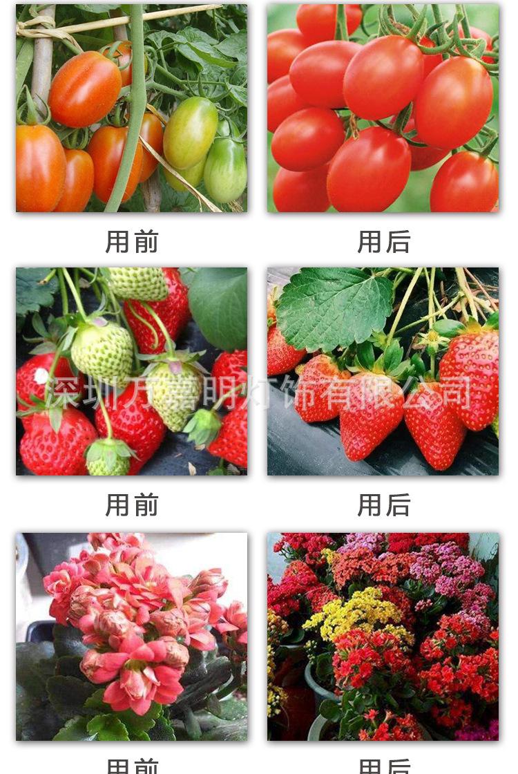 阿里详情页_08.jpg