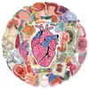 50 pegatinas de dibujos animados transfronterizos de doodle de anatomía de órganos para decorar guitarras, cuadernos, equipaje, pegatinas de bricolaje