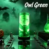 Luz de Rosto de Fantasma de Halloween Luz de Cabeça de Caveira Luz Noturna Luminosa USB Suprimentos de Decoração para Festivais e Festas Luz de Presente Atacado
