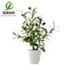 Simulação de folha de oliveira árvore falsa oliveira bonsai único ramo de oliveira com fruta folha verde flor ramo plantio árvore simulação em vaso
