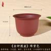 Vaso de Bonsai em Forma de Sino Transfronteiriço para Suculentas e Orquídeas, Vaso de Resina com Imitação de Areia Roxa