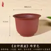 Macetas Creativas de Imitación de Arena Púrpura para Plantas Suculentas, Orquídeas, Macetas de Tronco Viejo para Bonsái, Macetas Redondas Altas de Resina Engrosada Venta al por Mayor
