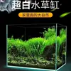 Aquário Ecológico Ultra-Claro de Cinco Linhas de Cristal Dourado para Observação de Peixes, Aquário de Mesa de Vidro Ultra-Claro para Sala de Estar para Peixes Dourados e Peixes Betta