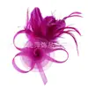 Amazon nueva diadema europea y americana velo de novia tocado de plumas tocado vintage tocado de actuación accesorios para el cabello de flores diadema mujeres