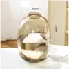 Planta Hidropônica Monstera Planta Verde Purificação do Ar Interno Ave do Paraíso Folha Grande Folhagem Perene de Interior Vaso Tronco Velho