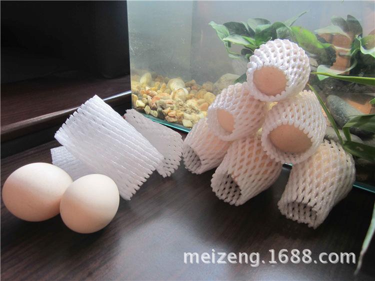 2-0508fruit form net (1)