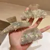 Pinza para el pelo de acetato brillante iridiscente, estilo japonés y coreano, fresca y dulce, ligera, pinza de garra perezosa, 2025 Primavera, Hecho en Yiwu
