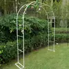 Suporte de flores treliça suporte de rosa treliça de clematis horta jardim externo arco de ferro forjado suporte de flores trepadeira