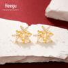 Xigu E1745 S925 brincos de prata com cinco pétalas de flor brincos de zircônia Super Flash elegantes de luxo leve de alta qualidade para mulheres