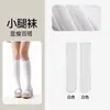 Meias Caneladas de Algodão de Xinjiang para Mulheres Outono Respiráveis Listras Verticais Listras Finas Meias Longas para Todas as Estações Meias Versáteis de Cano Médio Fábrica de Zhuji