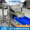 Máquina Empaquetadora Horizontal de Pesaje Automático Máquina Empaquetadora de Bolsas para Fruta Seca Máquina Empaquetadora de Bolsas para Alimentos Liofilizados Máquina Empaquetadora de Trozos de Pepino