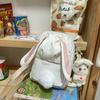 Bolso Cruzado Estilo Ins para Niña Estudiante Moda Conejito Lindo Bolso Cuadrado Pequeño Estilo Japonés Dulce Bolso de Hombro de Lona