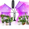 Luz LED 5V com Clipe para Interior Luz Vermelha e Azul Espectro Completo Multi-Dimmer Interruptor Timer Luz para Crescimento de Plantas Luz de Preenchimento 12V