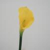 Copo de leite alta qualidade flor artificial toque macio cola floral casamento Flor de Segurar Casa modelo flores decorativas atacado