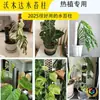 Pilares de Musgo, Plantas Trepadoras Monstera para Paredes, Columnas Fijas para Trepar para Plantas de Clima Cálido, Nuevo Tipo de Pilares de Mesa de Agua