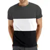 Amazon Verão Tamanho Plus Casual Gola Redonda Manga Curta Top Masculino Transfronteiriço Divisão de Cores Moda Masculina Fitness Esportes Camiseta