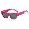 Gafas de sol de moda para street style de celebridad de internet, gafas de sol modernas simples y a la moda para conducir y protección solar