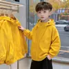 Roupa de Outono para Meninos 2026 Novo Estilo Crianças de Médio a Grande Porte Menino Legal Estilo Outono Primavera e Outono Crianças Jaqueta Corta-Vento