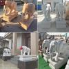 Fornecimento de Esculturas de Elefantes de Pedra para Portais Estilo Chinês, um Par de Elefantes de Mármore Branco para Parques, Pontos Turísticos e Hotéis