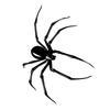 Adesivo de tatuagem de borboleta feminino à prova d'água de longa duração à base de ervas semipermanente de alta qualidade, clavícula, braço, flor, novo estilo 2024
